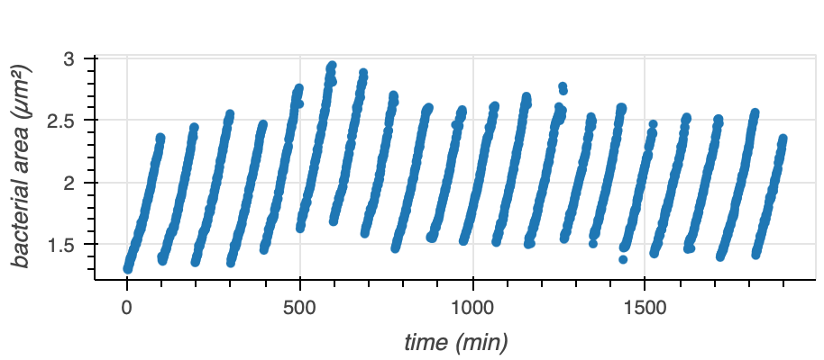 Repeated growth events of Caulobacter.
